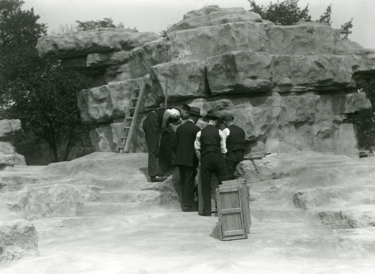 A group of keepers unpacking Sacred Baboons among the rocks of 'Monkey ...