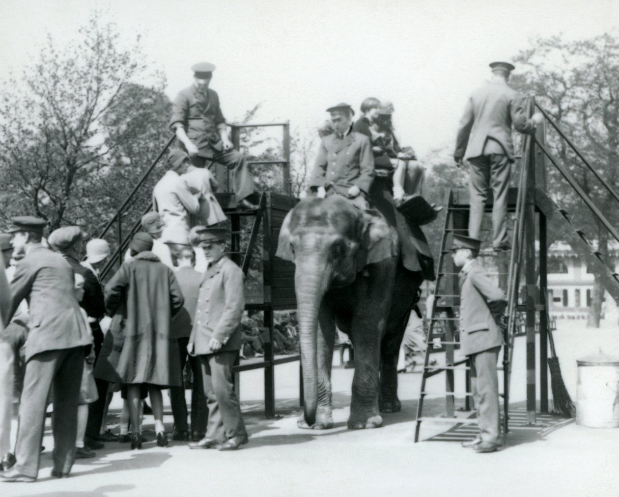 Visitors Queueing for an Elephant Ride While Others Embark, with the Help of Five Keepers, London Zoo by Frederick William Bond