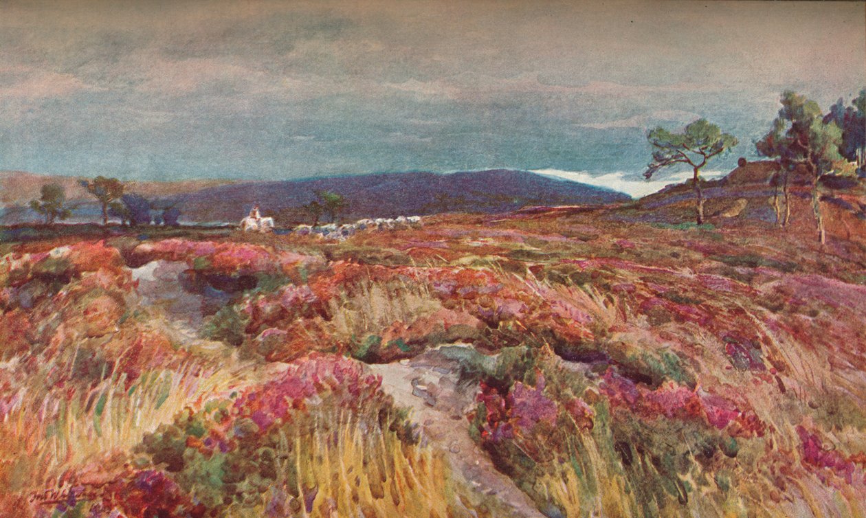 On The Heath Lytchett Minster by Frederick William Newton Whitehead