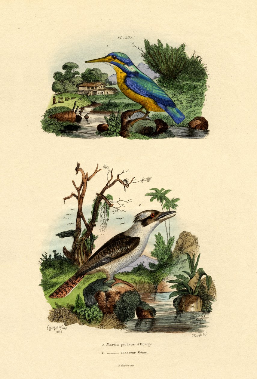 Kingfisher by French School