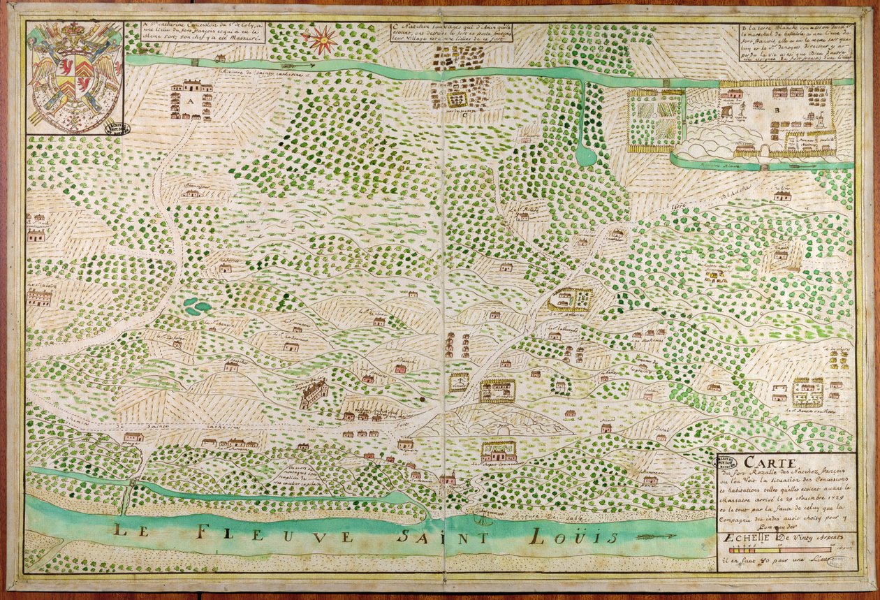 Map of Fort Rosalie des Natchez, Louisiana by French School