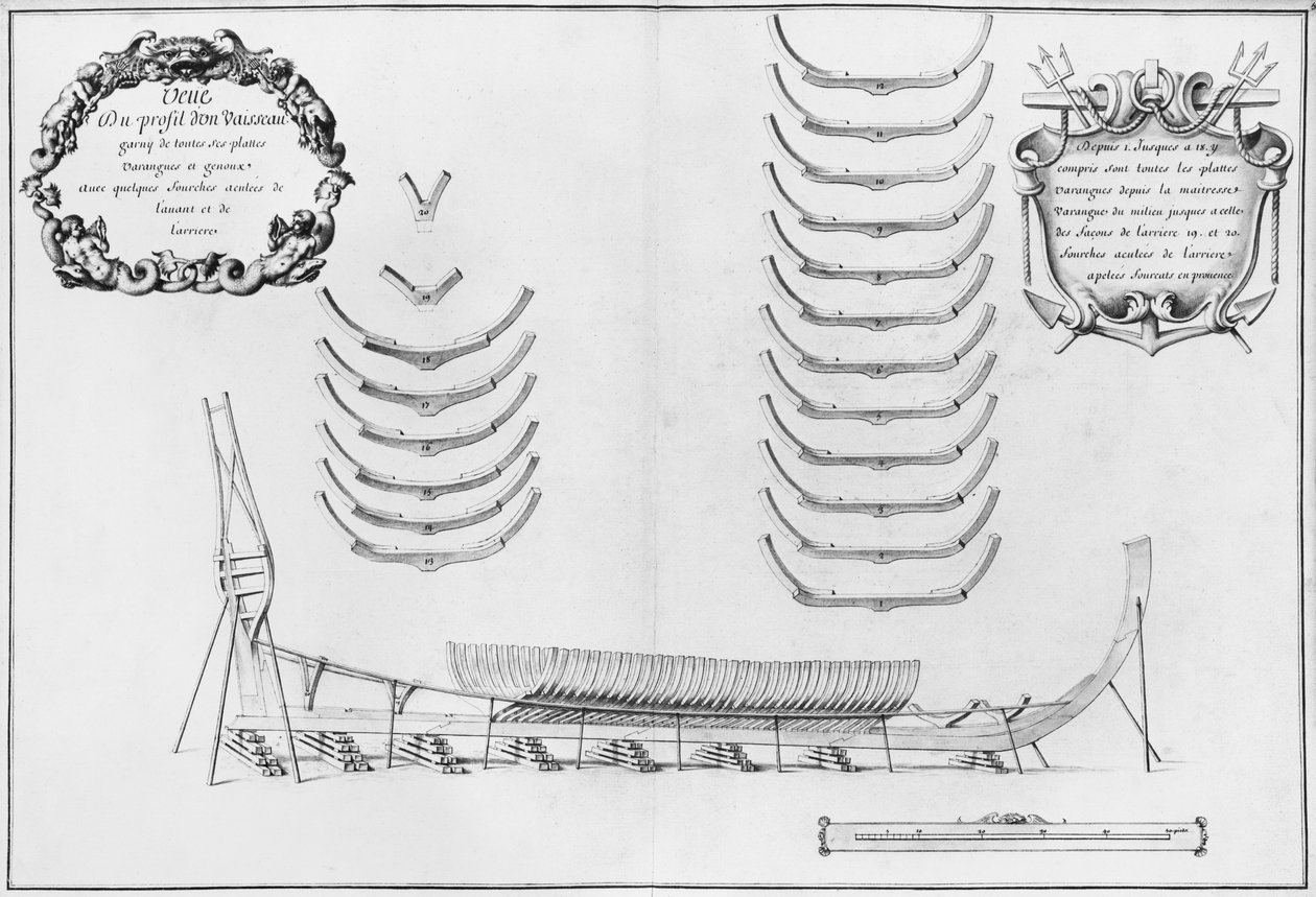 Profile of a Vessel with All Its Floor Plates, Illustration from the ...