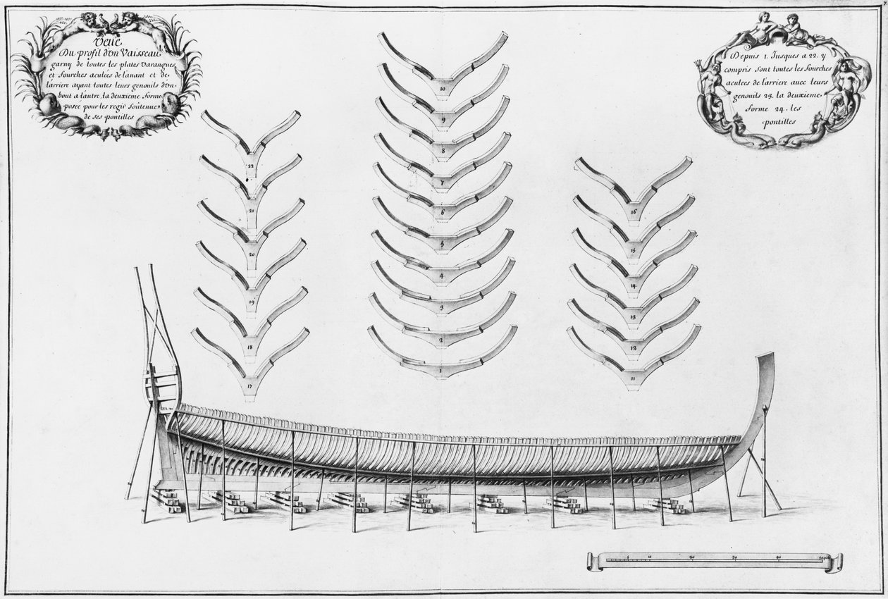 Profile of a vessel with all its floor plates, illustration from the ...