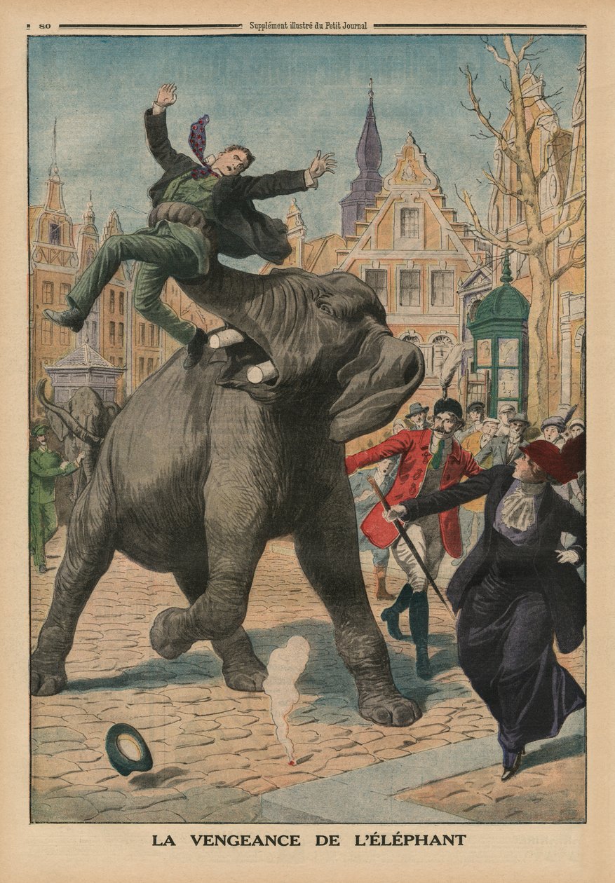 Revenge of an elephant, back cover illustration from 