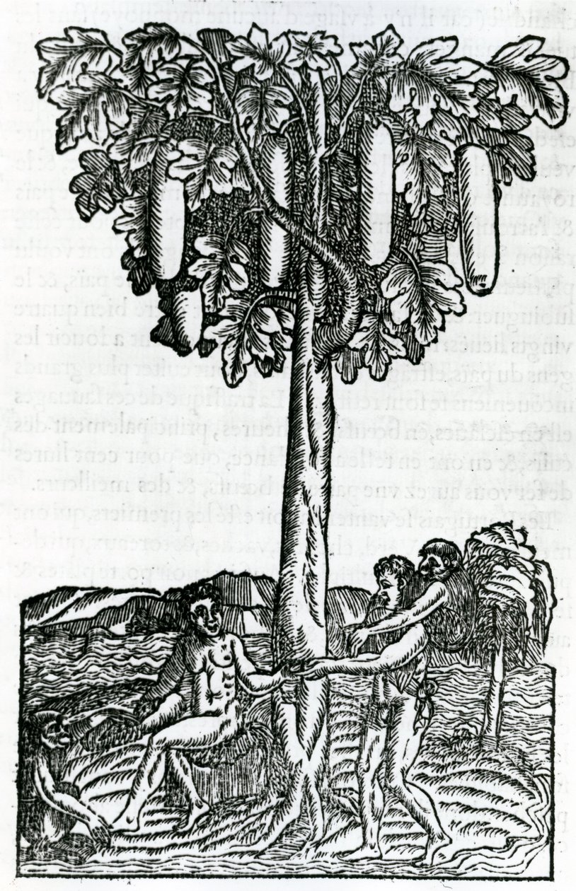 Tree Harvest, from Singularities of France Antarctique, by Andre de Thevet, 1558 by French School