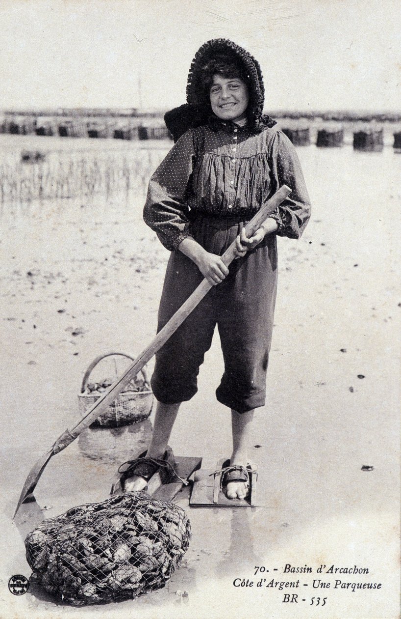 Arcachon Basin: An Oyster Parcering Machine by French Photographer