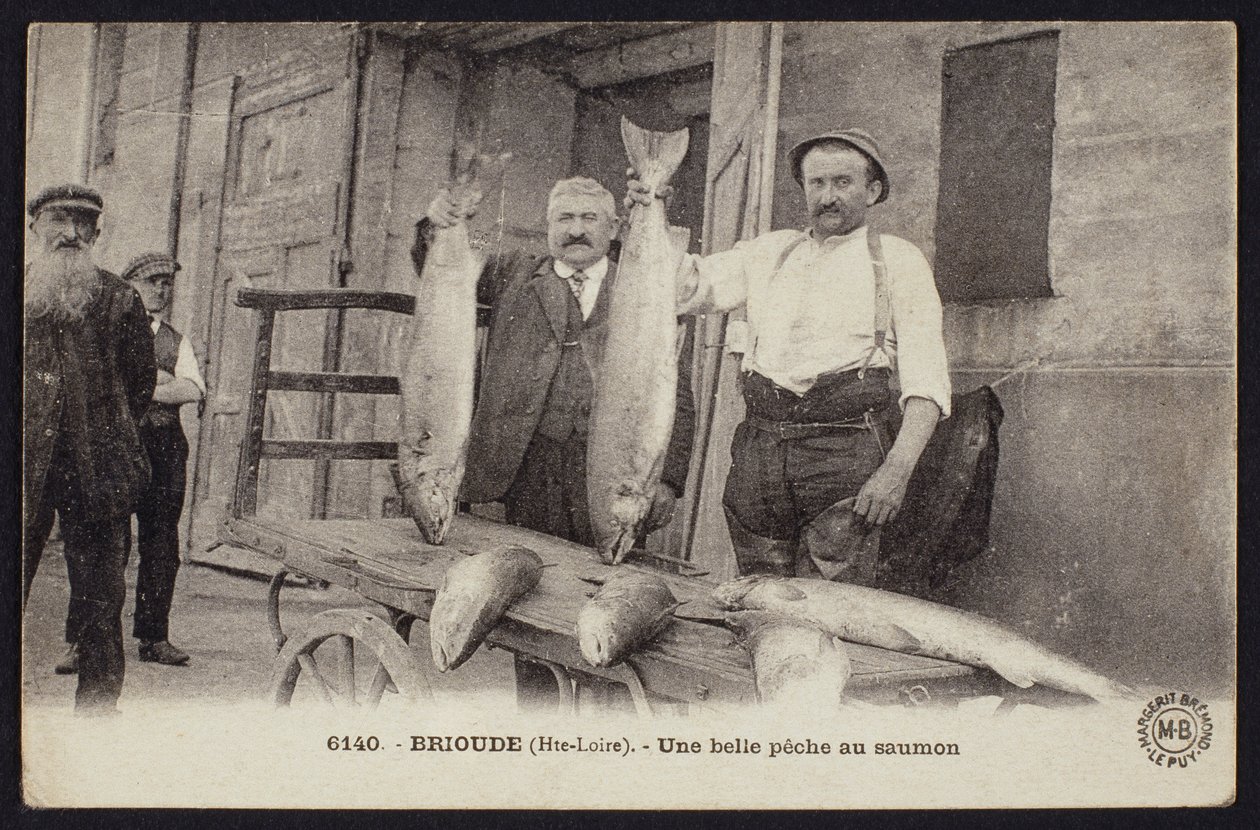 Good Catch of Salmon in Brioude, Haute-Loire, c.1900 by French Photographer