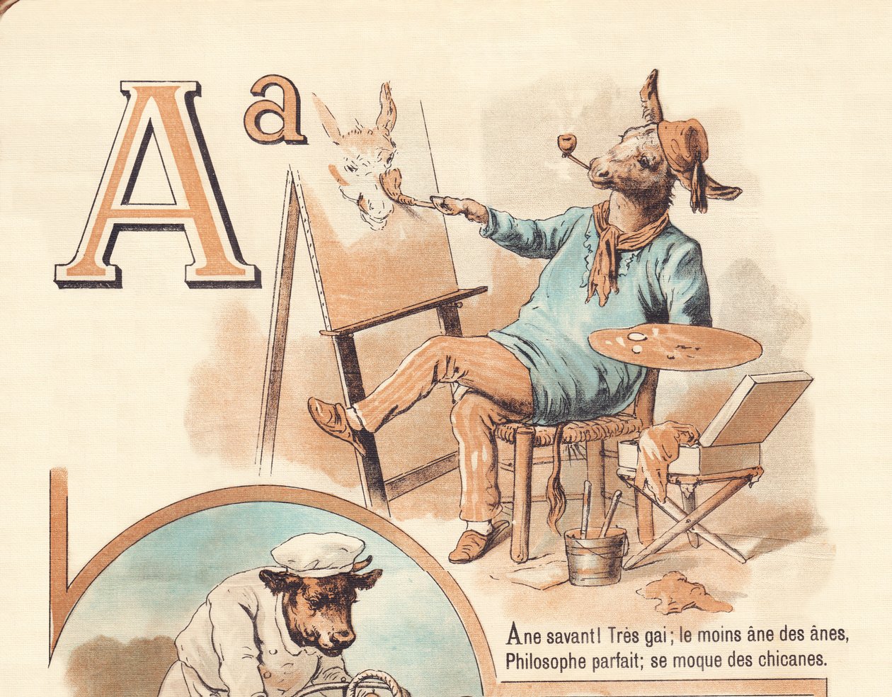 Ane scientist! Very cheerful; the least anus, the perfect philosopher, makes fun of the chicanes by French School