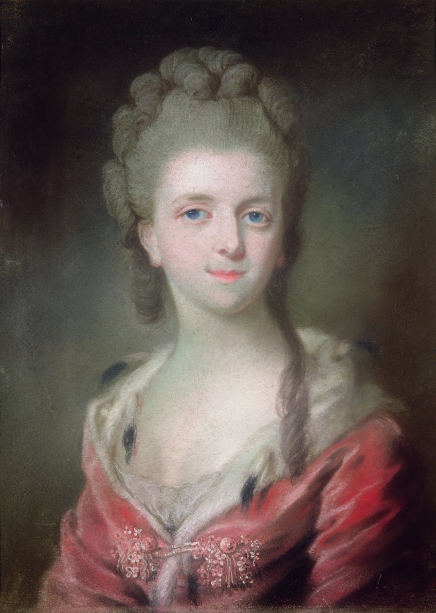 A Princess from the House of Bourbon by French School