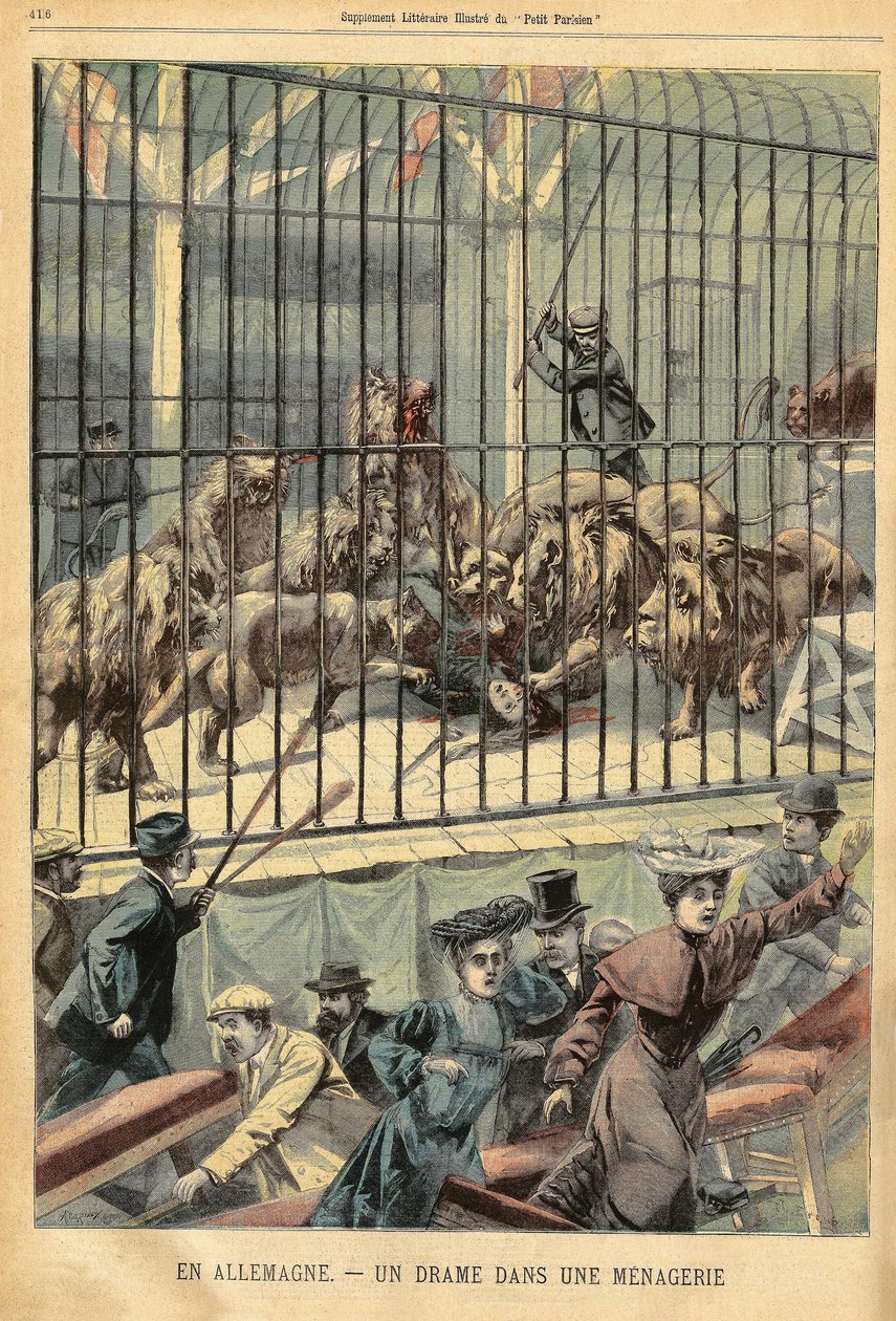 A tamer gets devoured by her lions in a menagerie in Dessau, Germany. Engraving in 