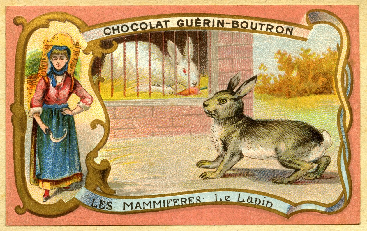 Advertising Chromolithography of Chocolates Guerin Boutron, Mammals, The Rabbit Cage and Wild, Warren by French School