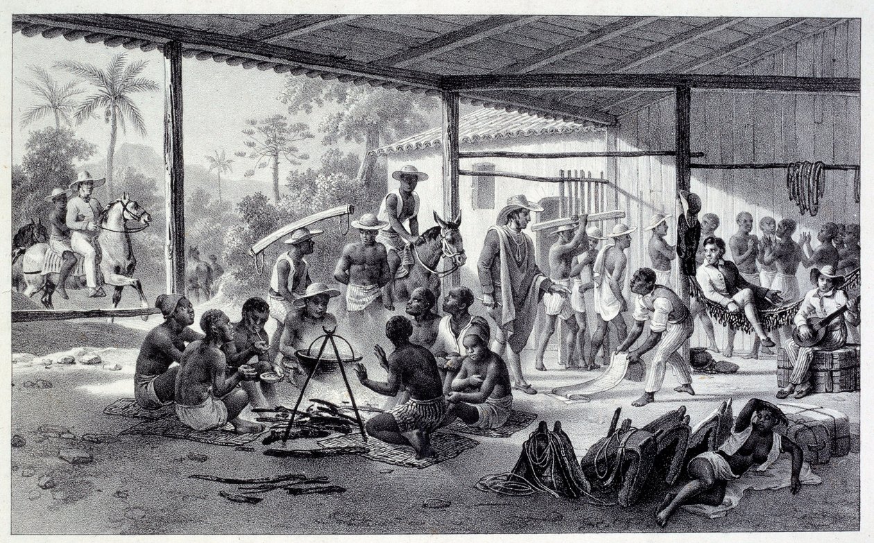 Camp of Negres in Brazil by French School