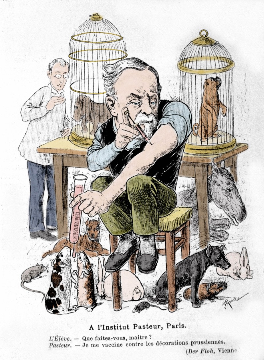 Cartoon representation of scientist Louis Pasteur, inventor of the vaccine against rabies, vaccinating himself against Prussian decorations. Published in 