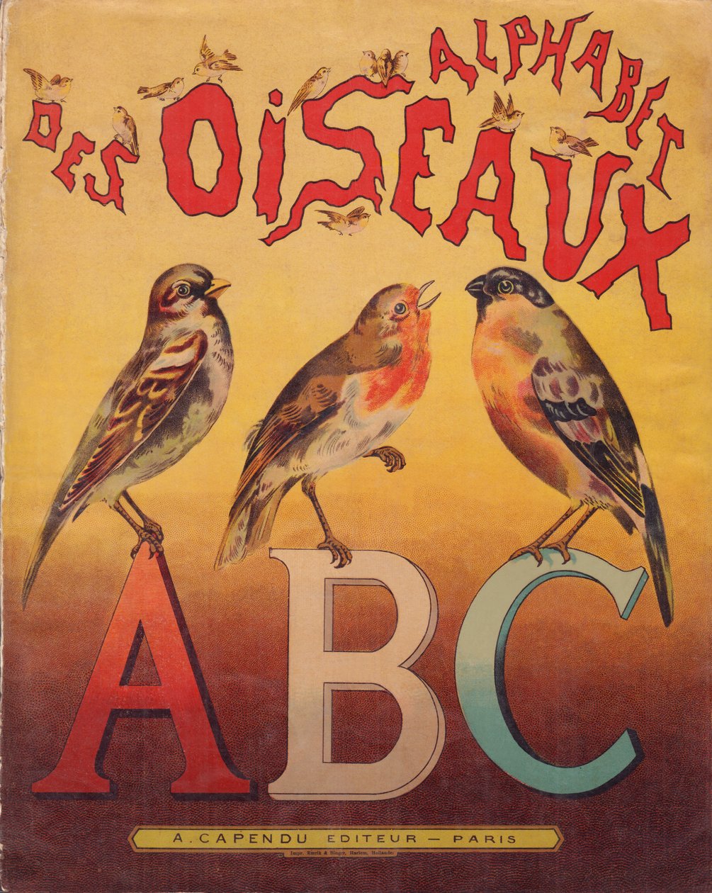 Coverage by French School
