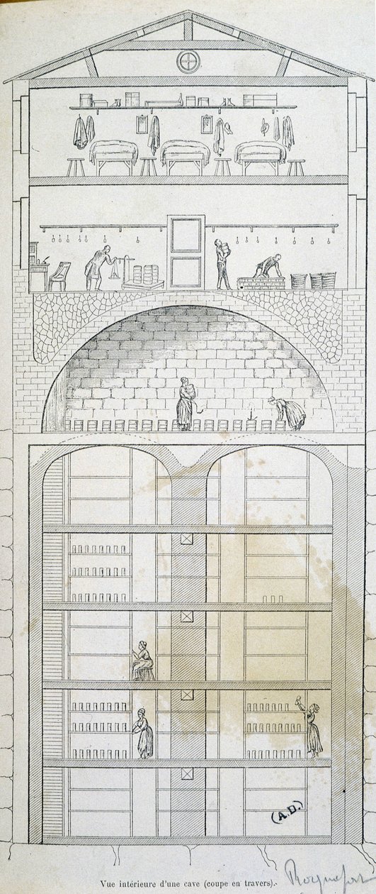 Cup of a cellar in Roquefort by French School