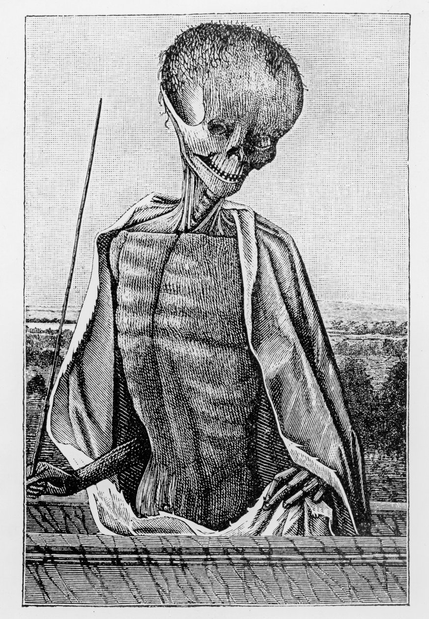 Doctor Death, from a Book of Hours, illustration from Science and Literature in the Middle Ages and the Renaissance, written and engraved by Paul Lacroix, 1878 by French School