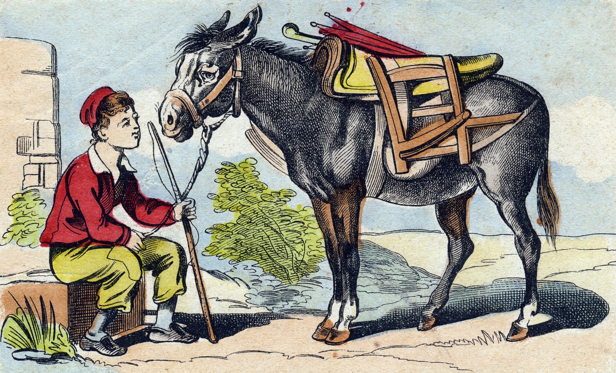Donkey (Engraving in "Buffon Alphabet des Animaux") by French School