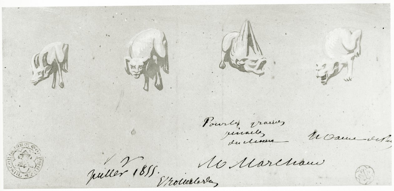 Drawing for the Restoration of the Gargoyles of Notre Dame, 1855 by French School