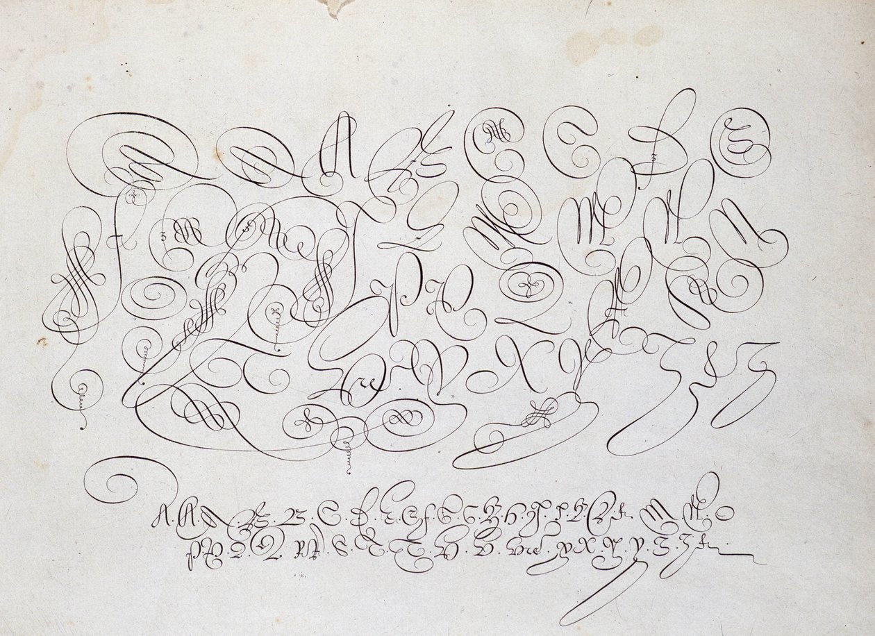 French calligraphy: Plate of capital, engraving of Frisius, calcographer of the king by Robert Vignon in the garden of writing around 1600 by French School