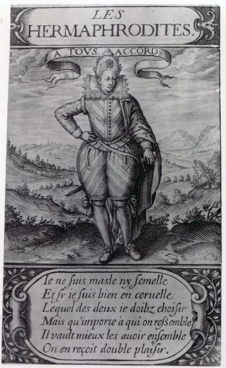Frontispiece to Les Hermaphrodites by Thomas Artus by French School