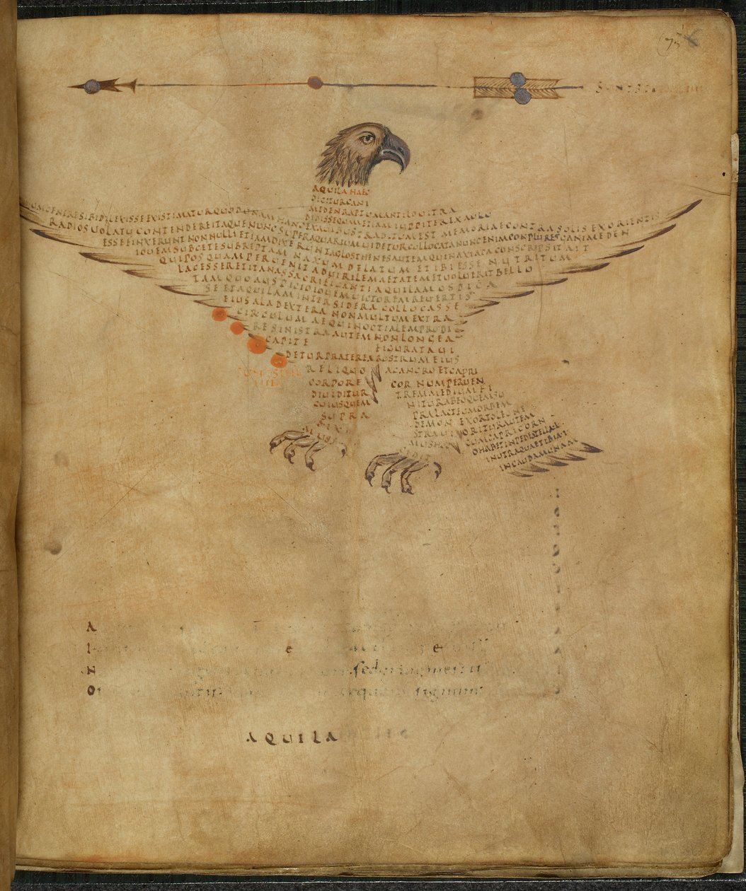 Illustration of the constellation 