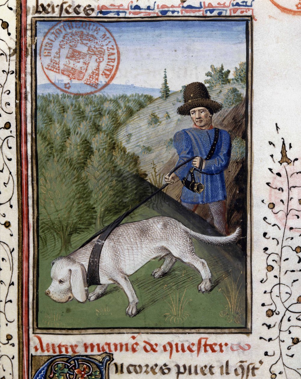 Hunting dog held on a flairing leash, from 