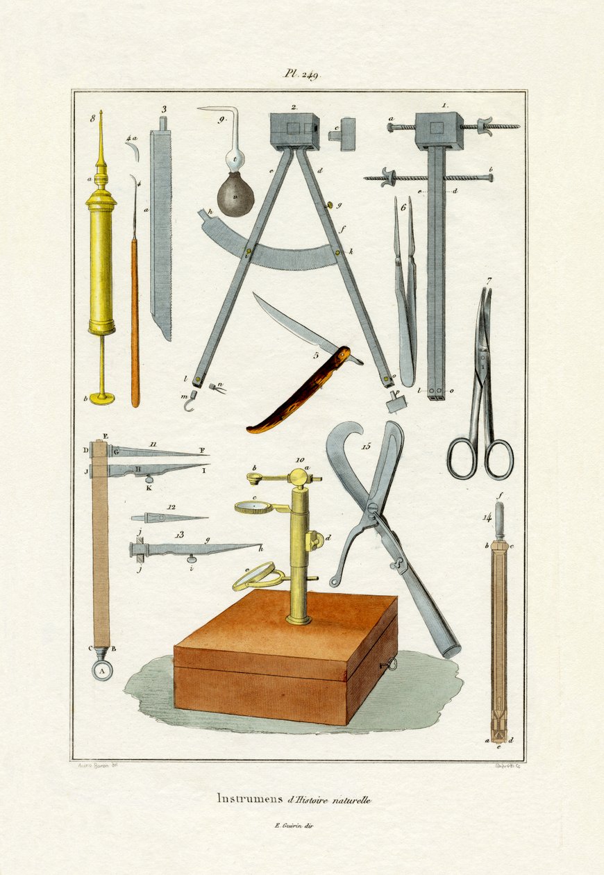 Instruments by French School: Buy fine art print