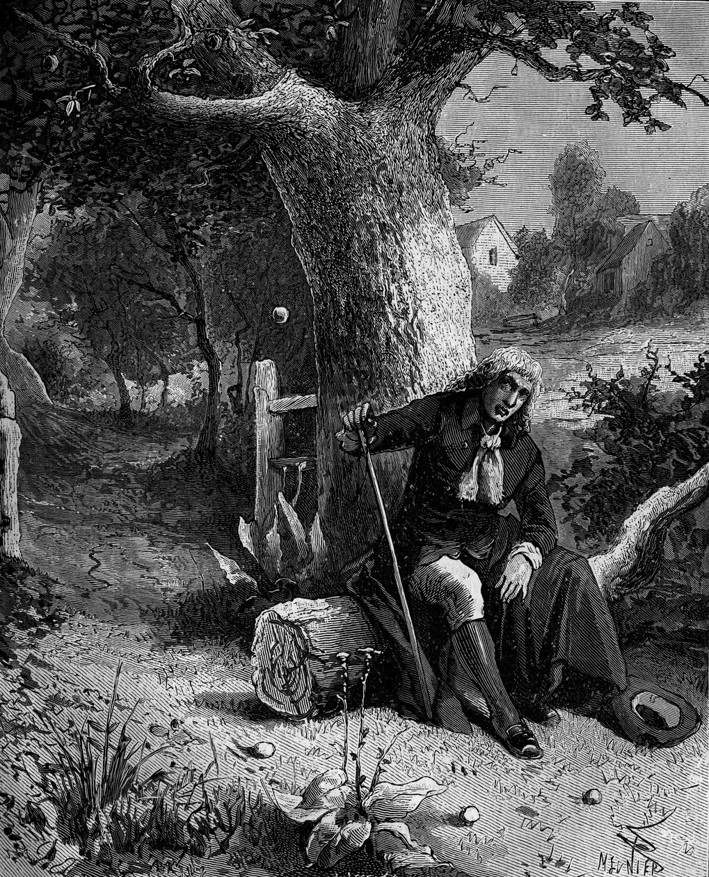 Isaac Newton (1642-1727), English mathematician and astronomer, discovering the notion of earth gravity through an apple falling from an apple tree of Woolsthorpe by French School