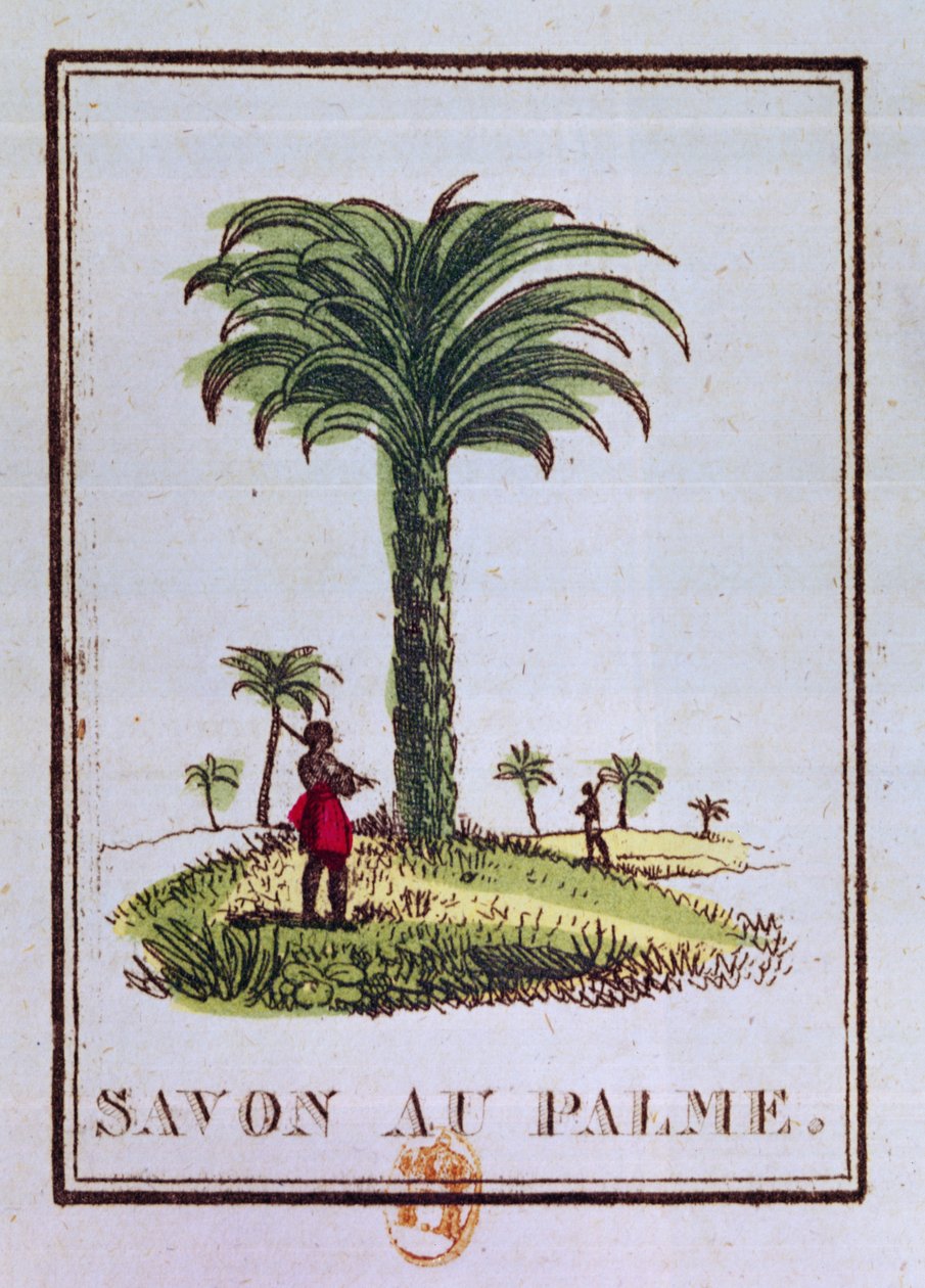 Label for a palm oil scented soap, depicting a palm tree by French School