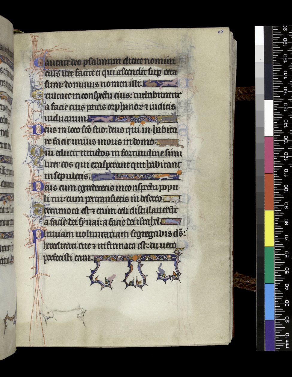 Folio from the Psalter and Hours of Isabella of France, Paris, c.1265-70 by French School