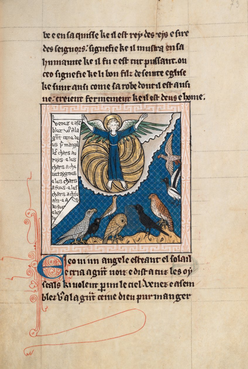 Commentary on the Apocalypse of St John, late 13th century (Ms65 f73r) by French School