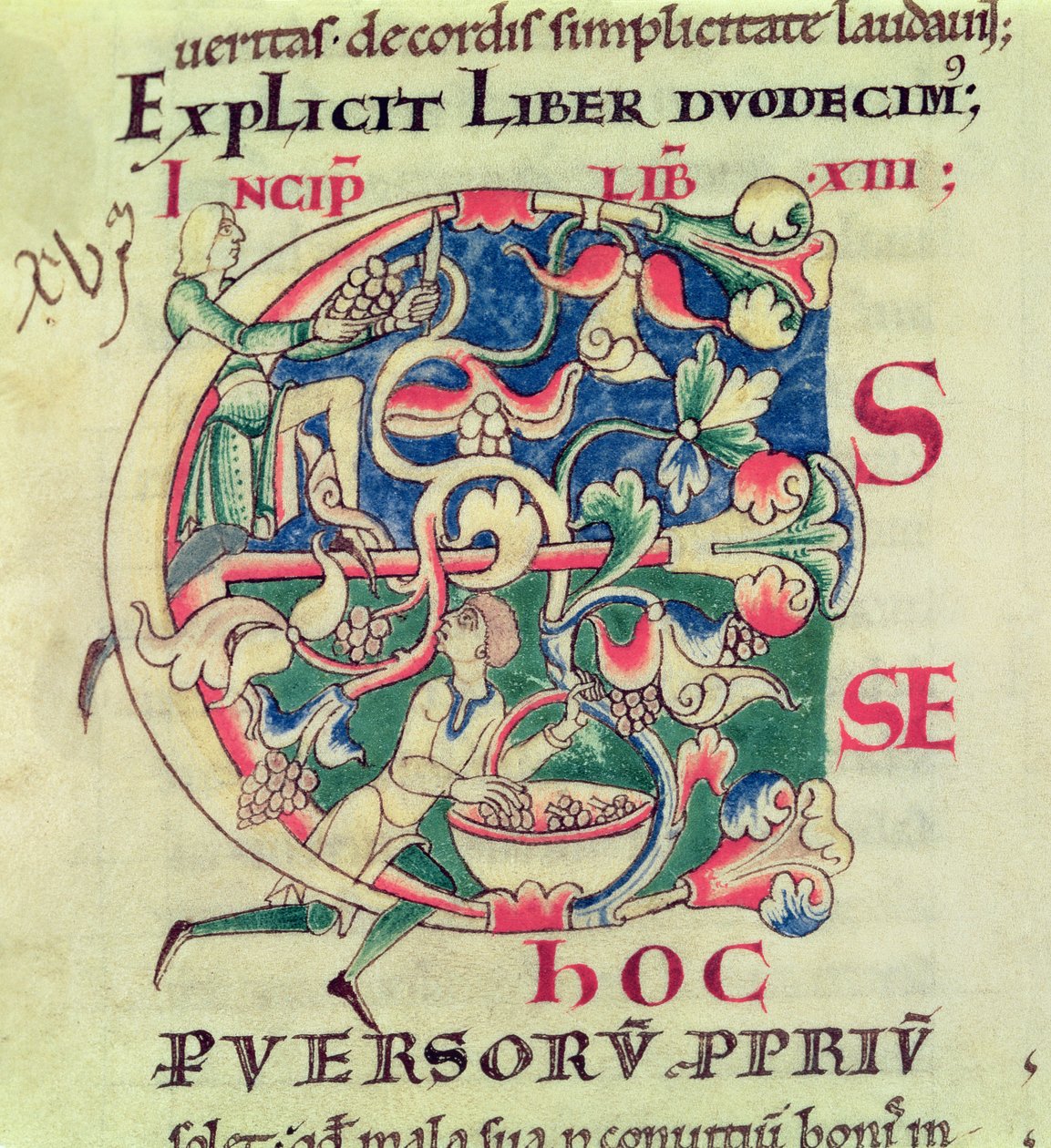 Historiated initial E depicting the grape harvest, from Moralia in Job by Pope Gregory the Great by French School