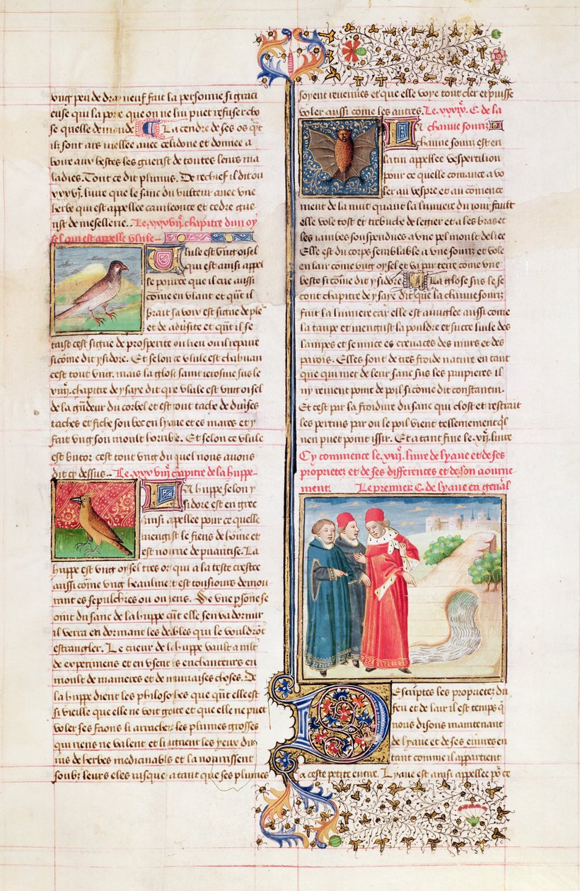 The Properties of the Tortoise, the Hoopoe and the Bat, from 'Livre des ...