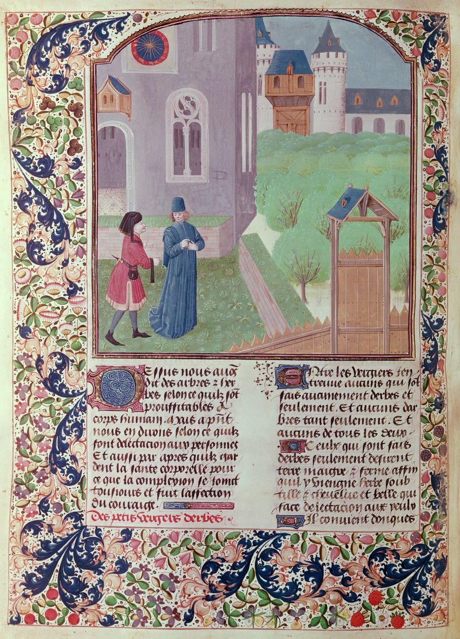 The Orchard, Illustration from Le Livre des Prouffitz Champestres by Pietro de Crescenzi by French School