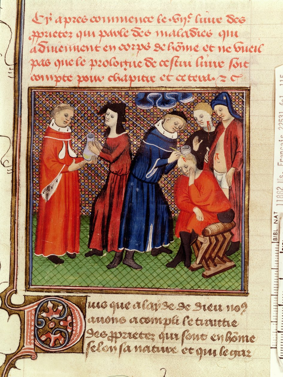 The Urine Examination and the Healing of Wounds, from Le Livre des Proprietes des Choses by Barthelemy l