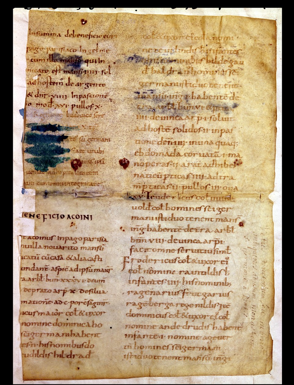Inventory of Carolingian property ownership, from the Polyptych of the ...