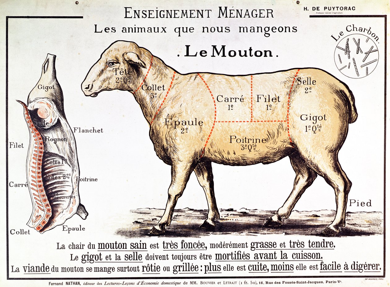 Mutton: diagram depicting the different cuts of meat by French School