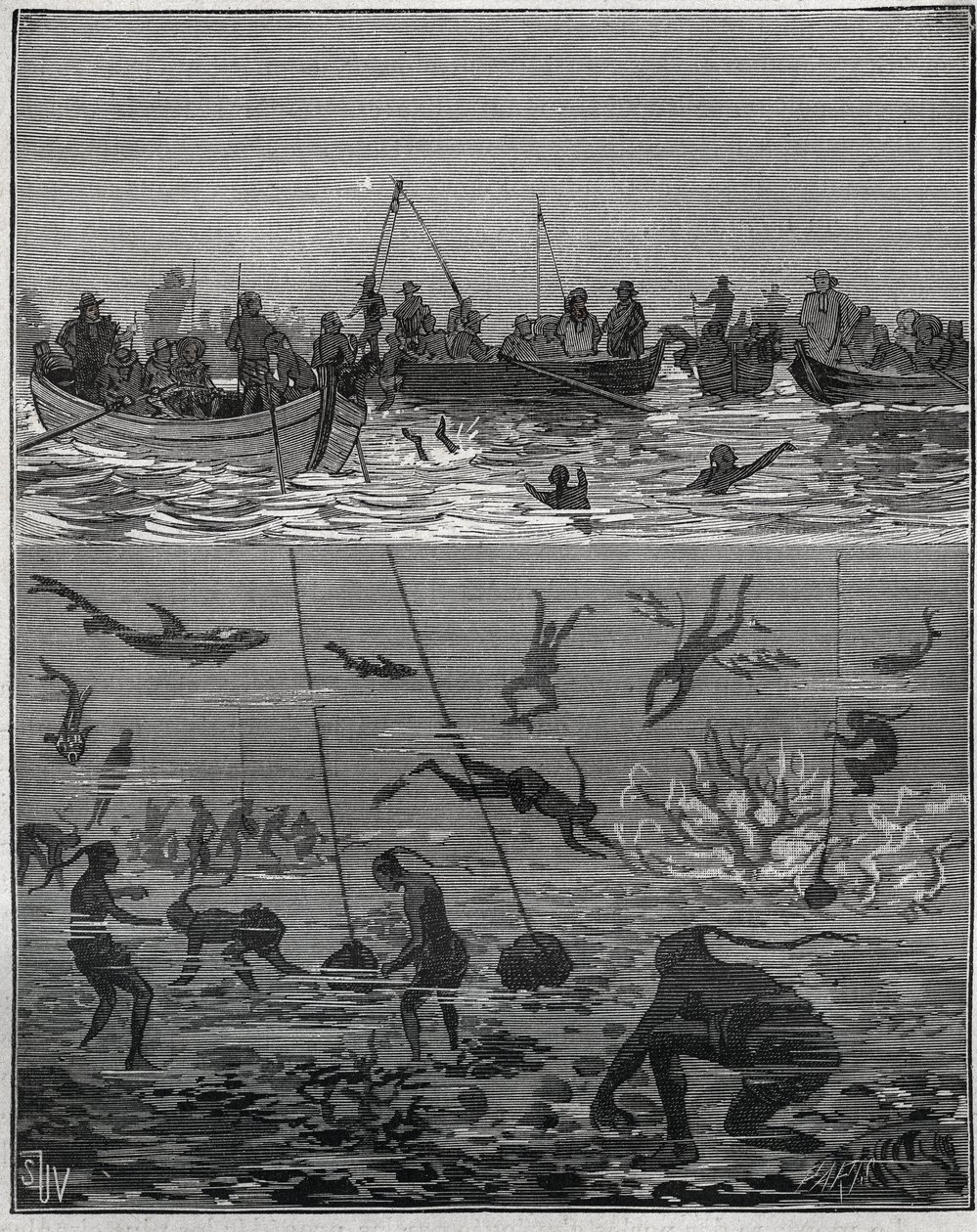 Pearl fishers in Ceylon (present-day Sri Lanka) in the 19th century. Engraving from 1885 in Les arts et metiers illustres by Adolphe Bitard. by French School