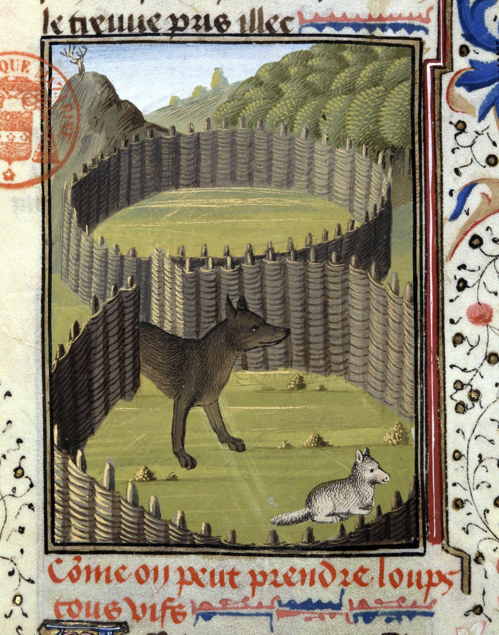 Wolf Trap - in 