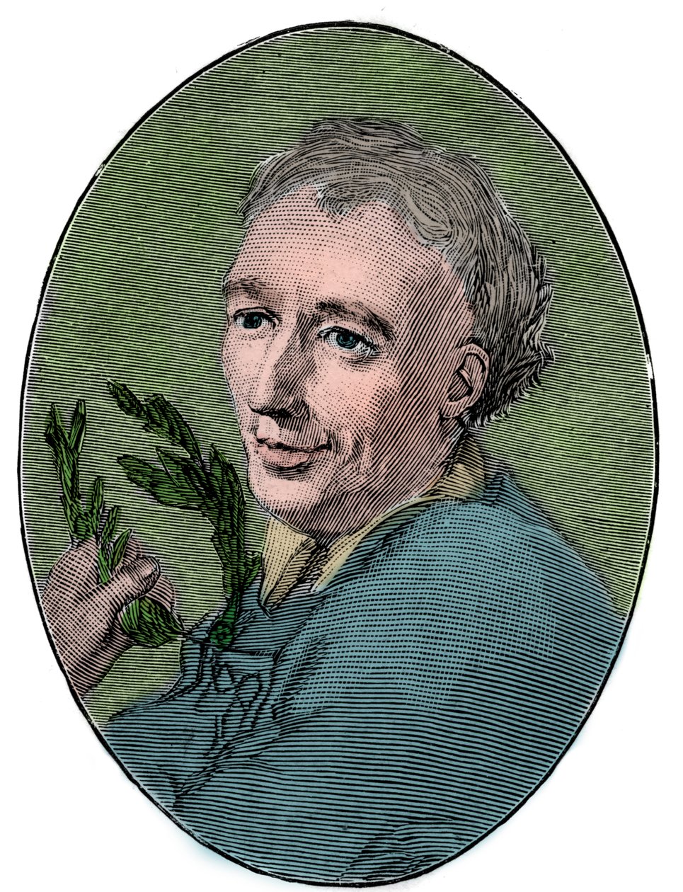Portrait of Laurence Eusden by French School