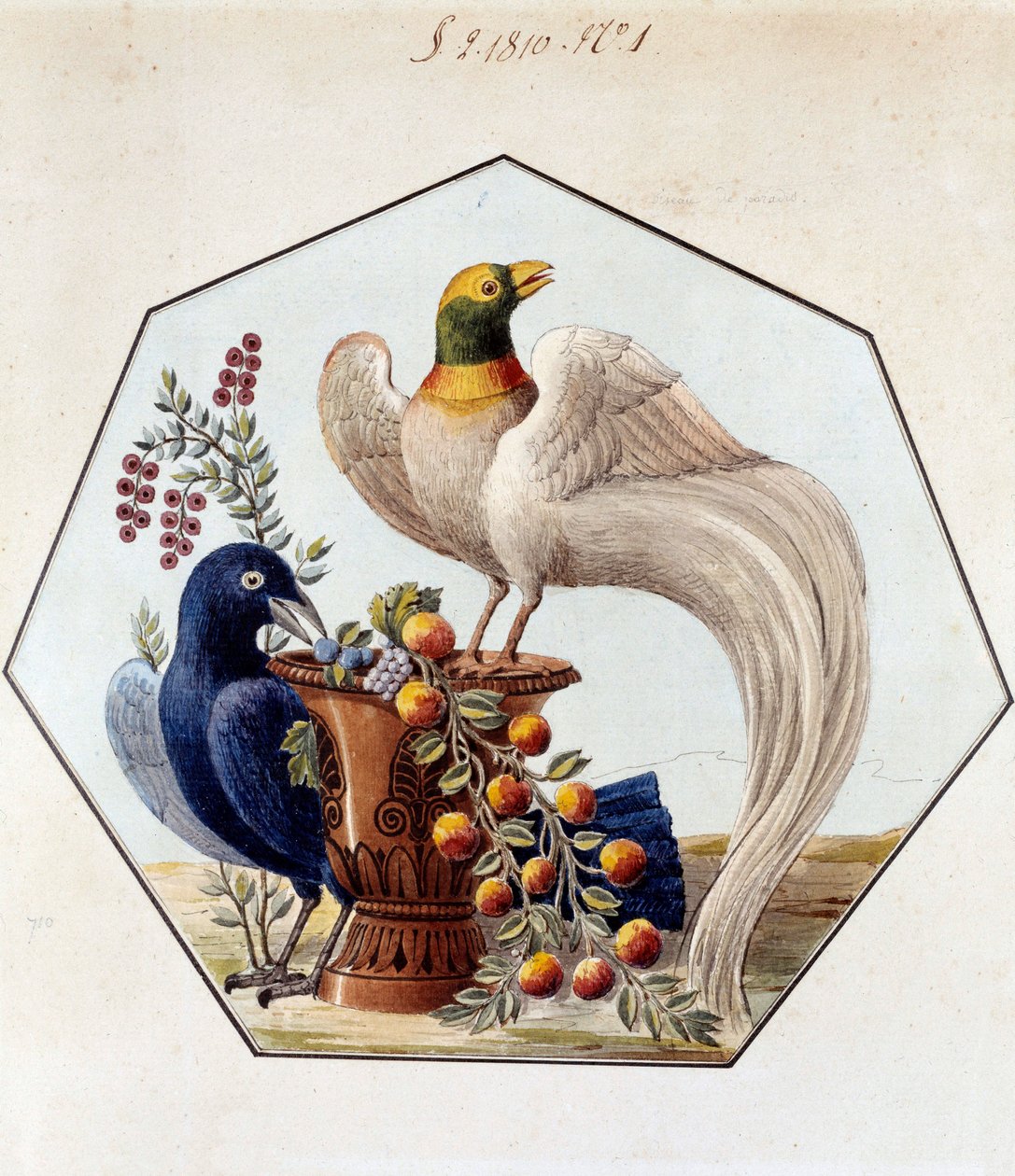 Project for the Table of Birds in Porcelain by Alexandre Brongniart. 1810 Sevres, Archives of the Manufacture de Sevres by French School
