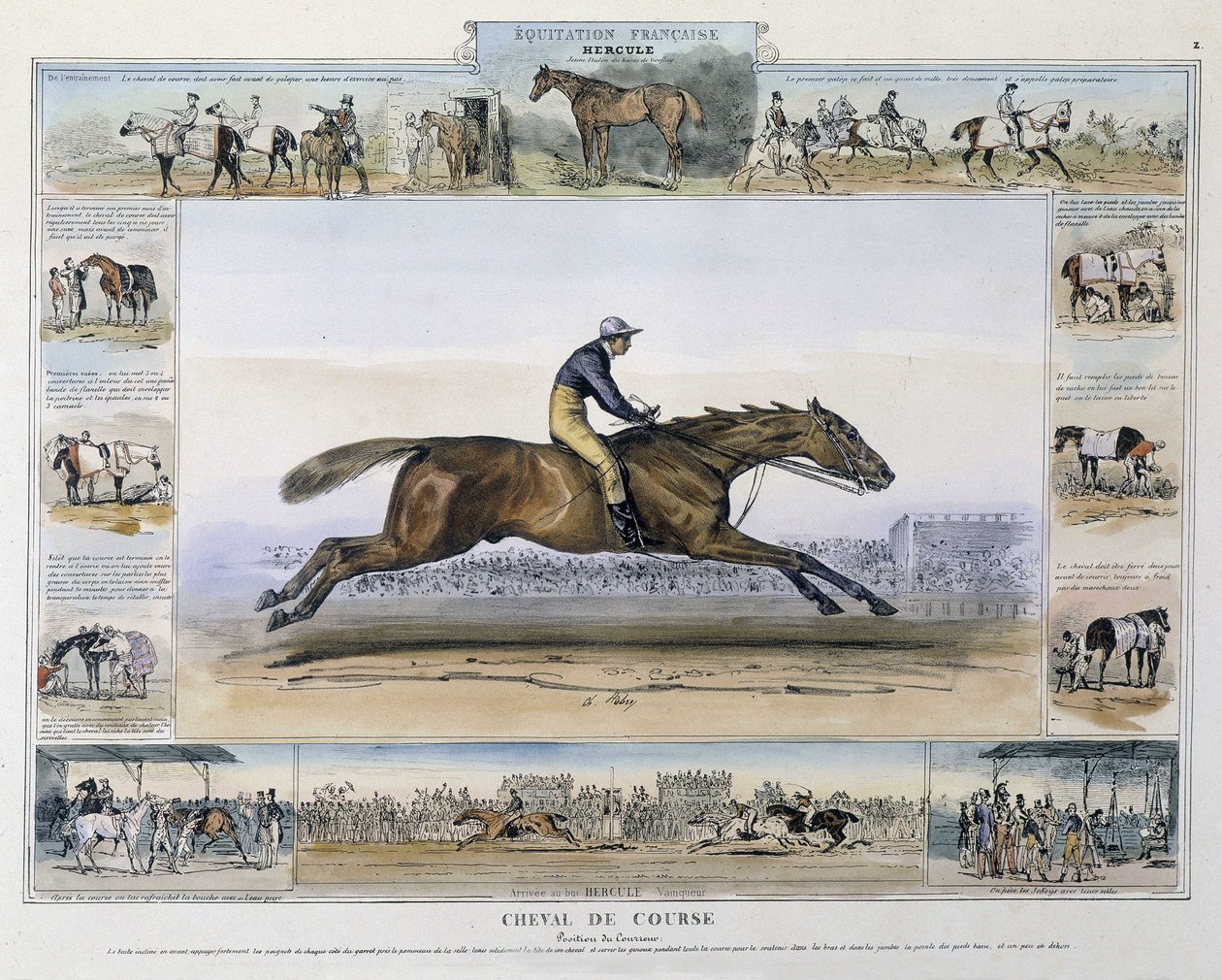 Race horse in 
