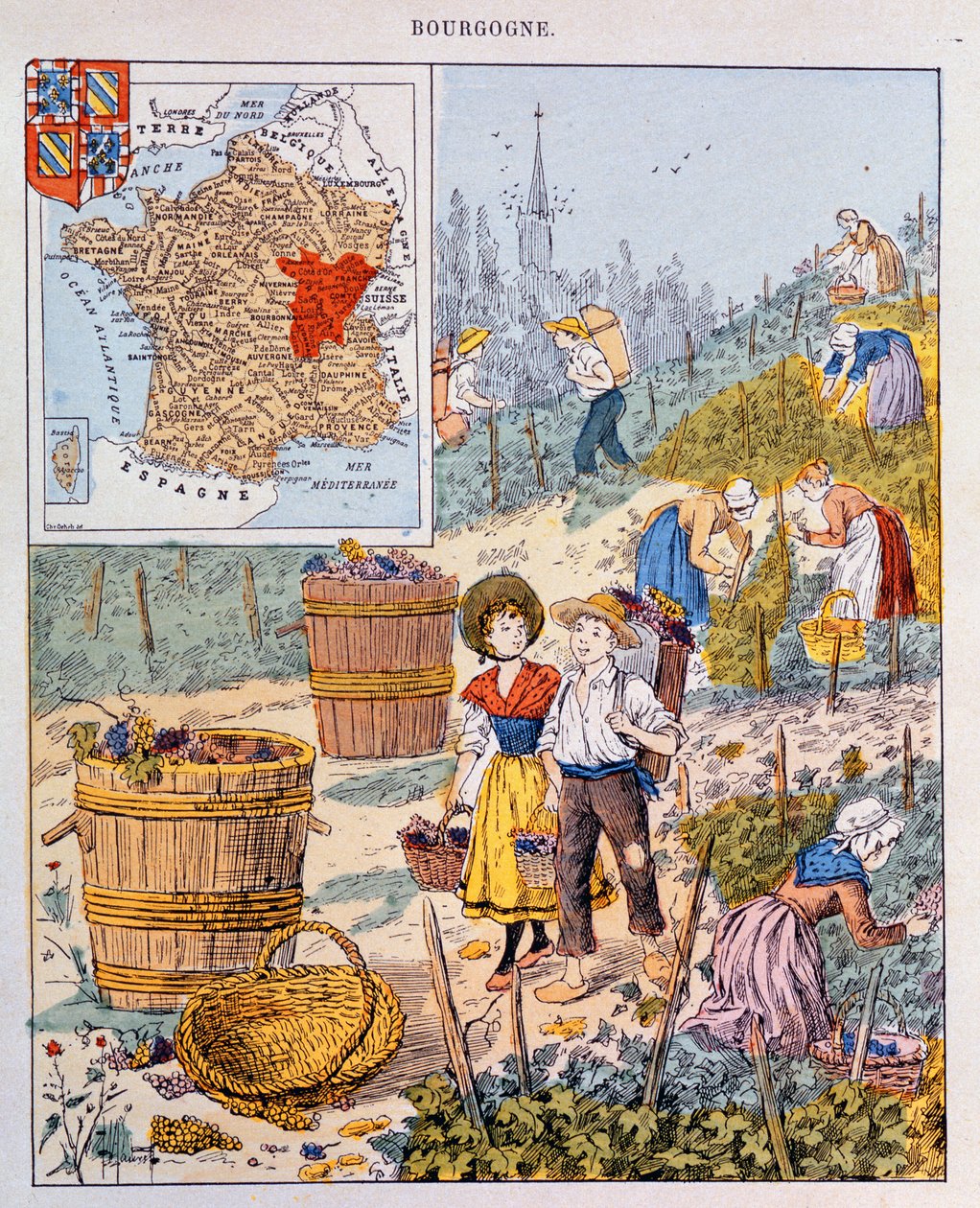 The Grape Harvest in Burgundy (illustration from a school textbook, c.1910) by French School