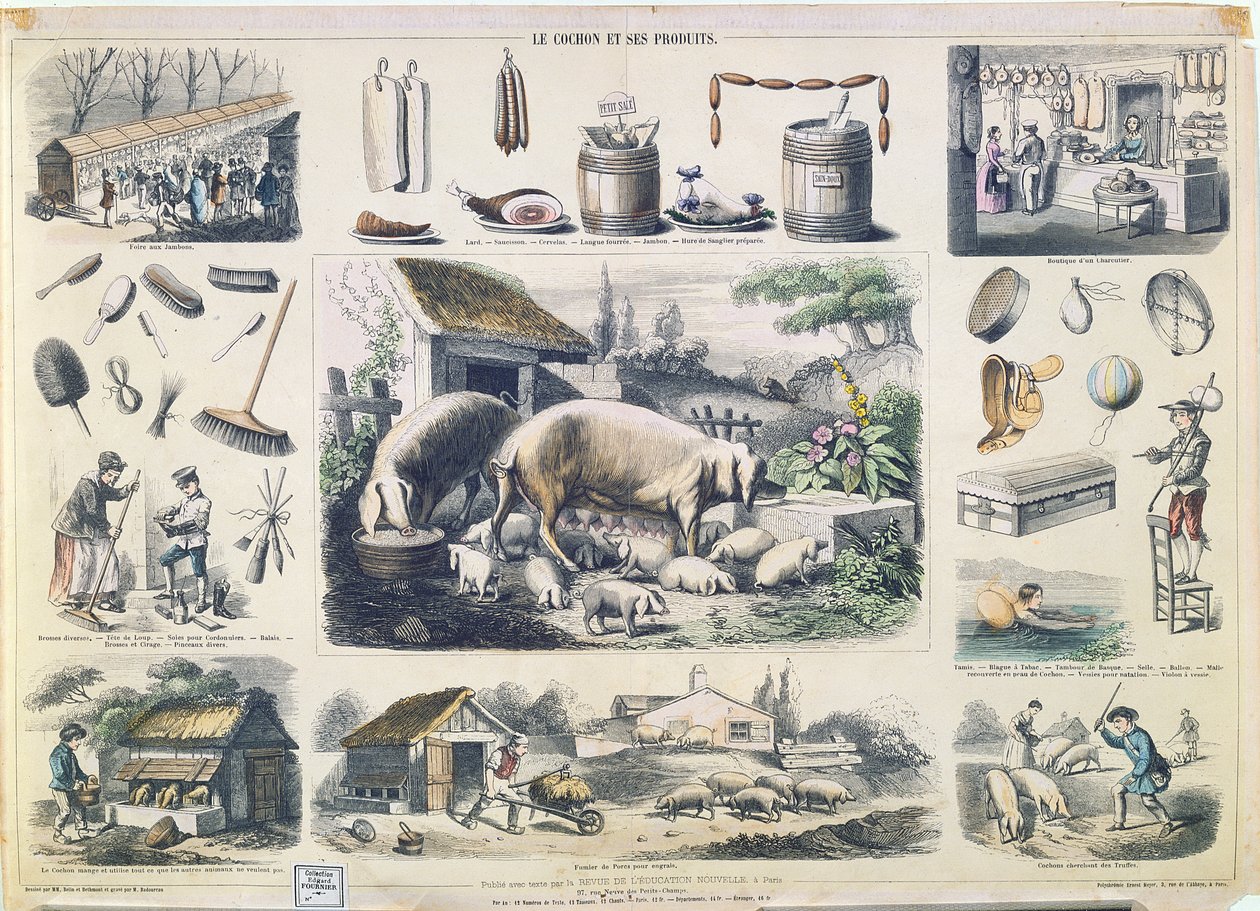 The Pig and its Products by French School