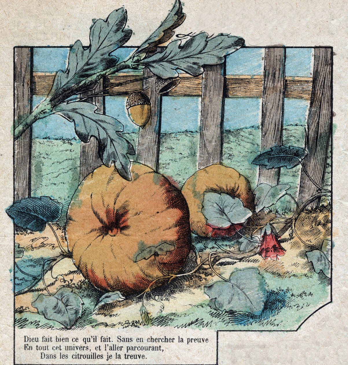 The acorn and the pumpkin. Fables by Jean de La Fontaine (1621-95). Epinal imaging from the end of the 19th century. by French School