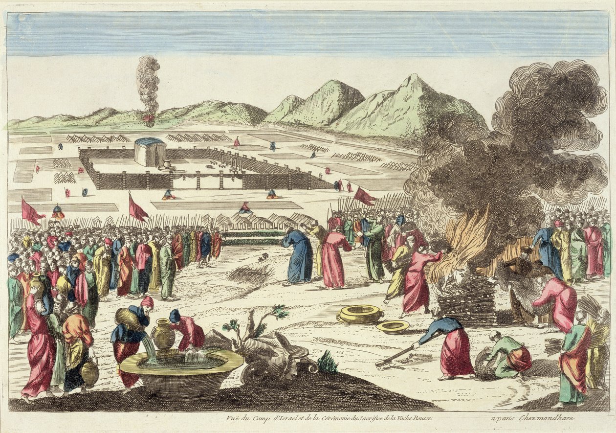 The Red Cow Israel Controversy Unpacking The Political Firestorm Over A Sacred Ritual