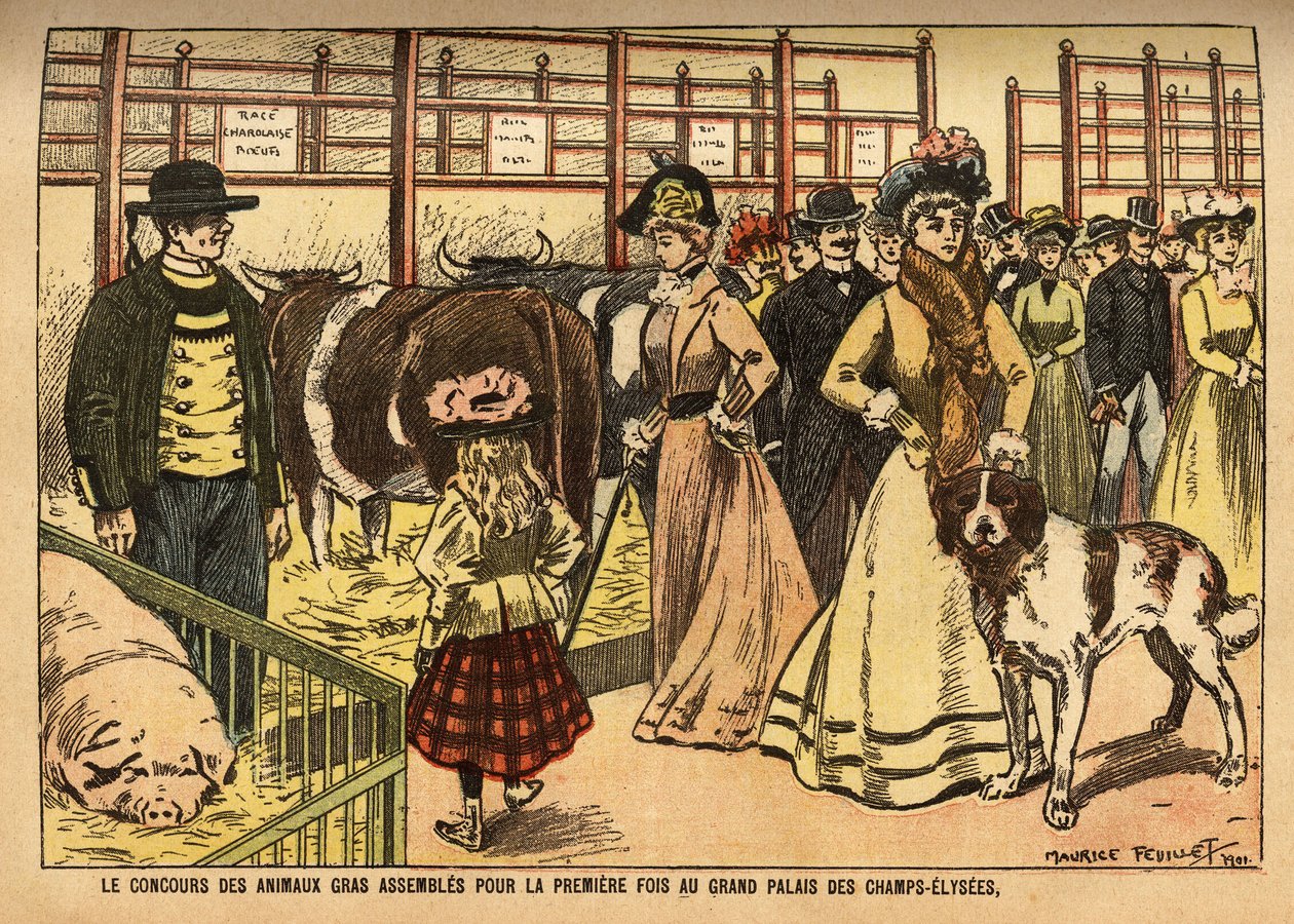 The Competition of Fatty Animals Exhibited in the Grand Palais des Champs Elysees by French School