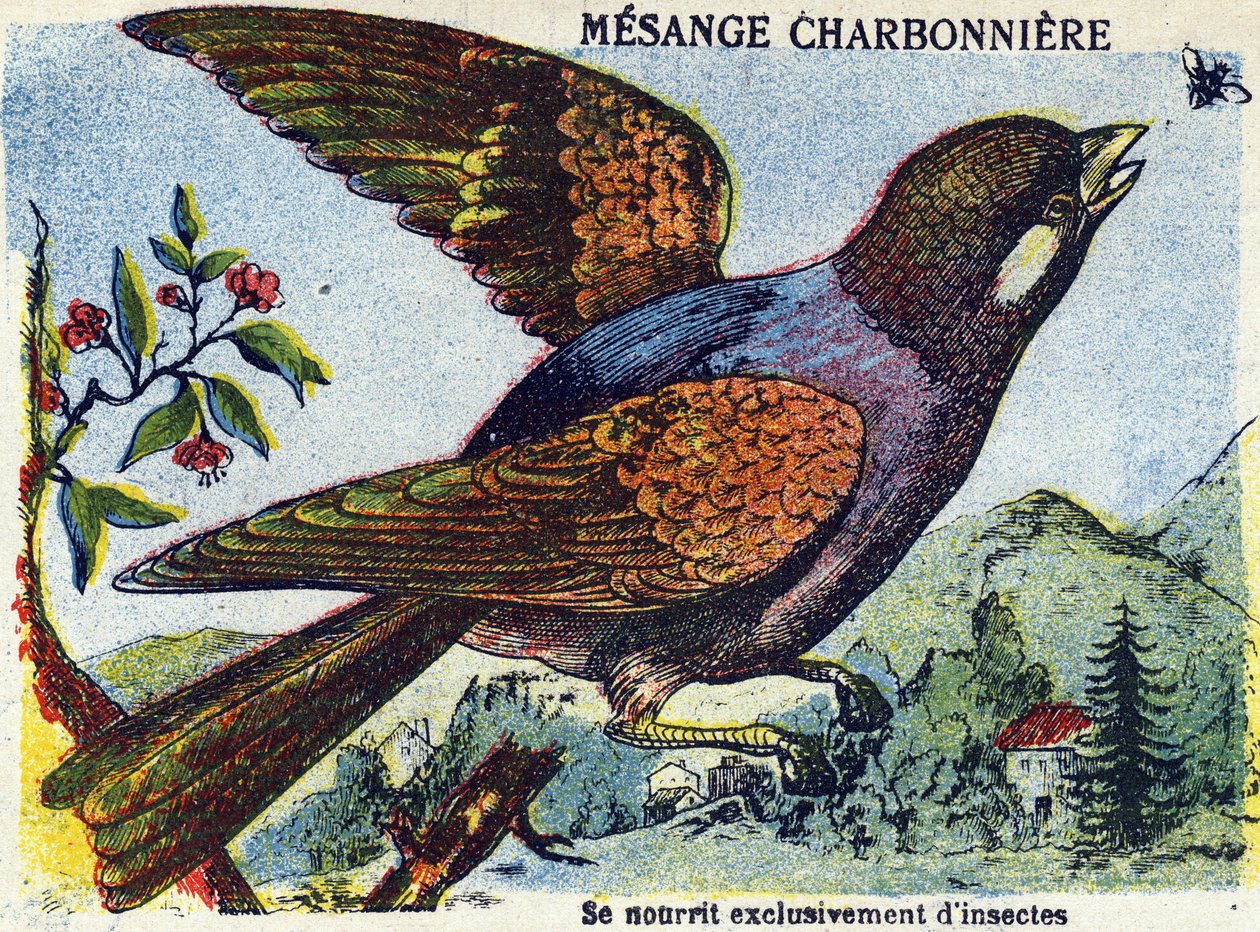 Unknown Image by French School