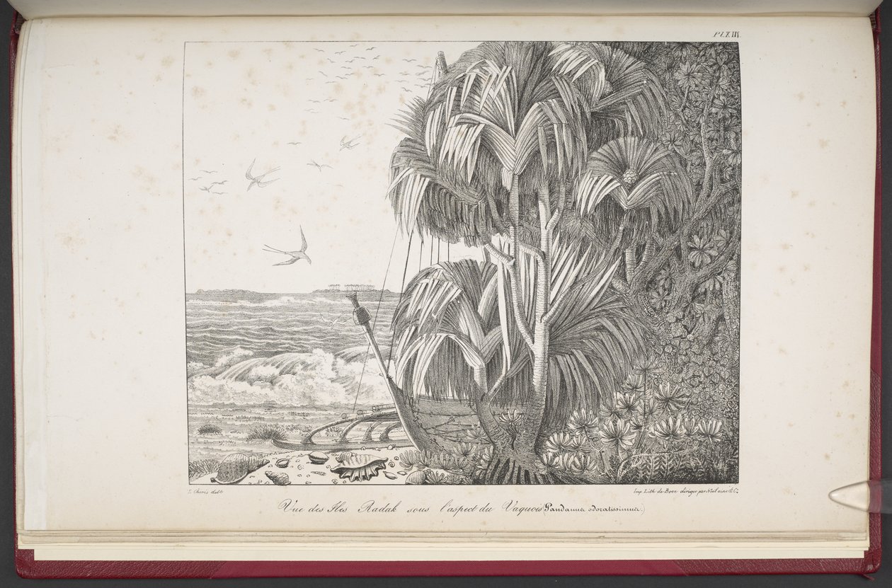 View of the Radak Islands, from 