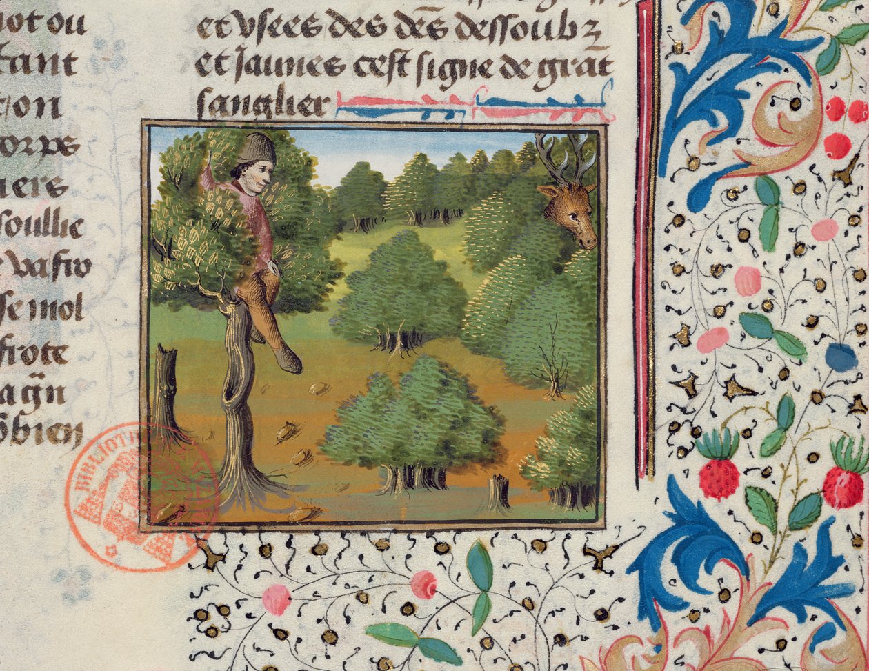Waiting for Deer Hiding in a Tree, from the Livre de la Chasse by Gaston Phebus by French School